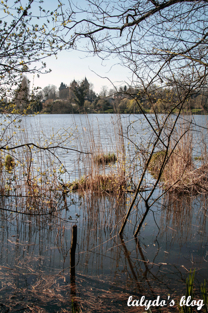 lac-tranquille-combourg-1
