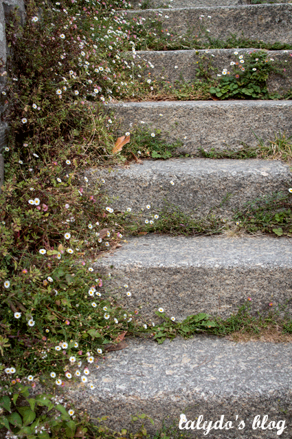 escalier-rochefort-en-terre-lalydo-blog