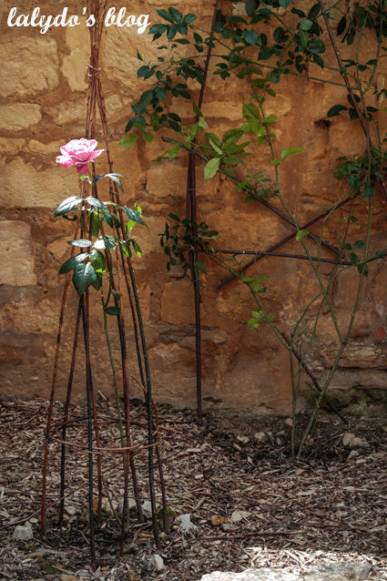 rose-jardin-gourdon-lalydo-blog