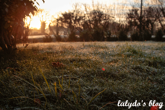 lever-de-soleil-hiver-cotes-d-armor-lalydo-blog-2