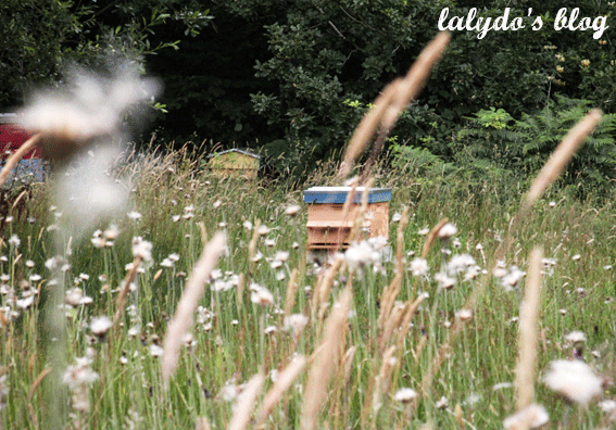 abeilles-d-armor-lalydo-blog-2