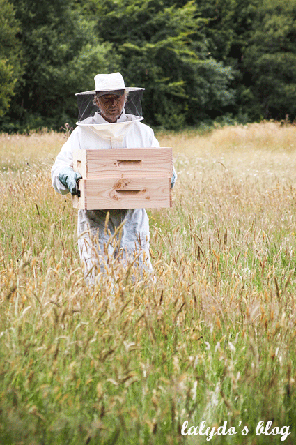 abeilles-d-armor-lalydo-blog-20