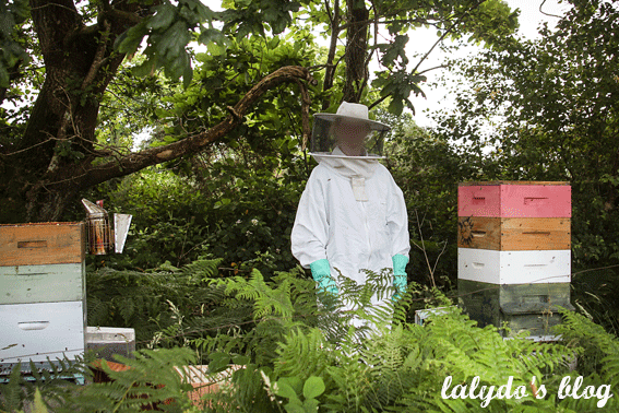 abeilles-d-armor-lalydo-blog-21