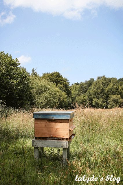 abeilles-d-armor-lalydo-blog-26