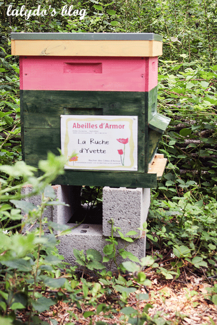 abeilles-d-armor-lalydo-blog-35