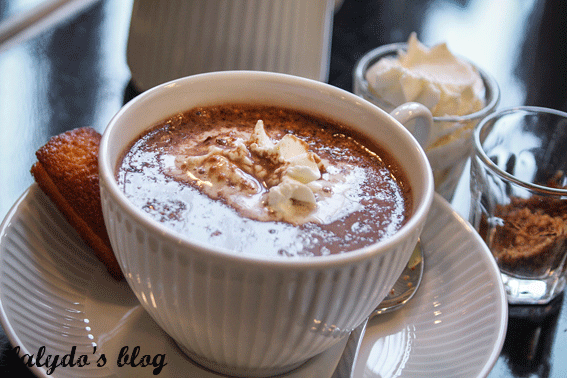 chocolat-poudre-de-pralin-le-recommande-lalydo-blog