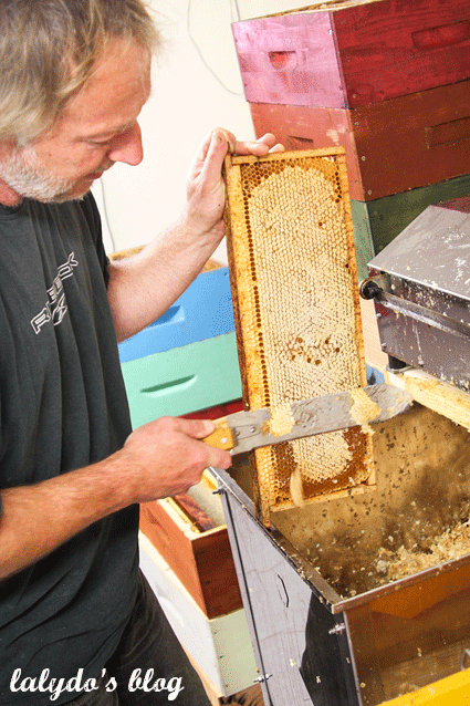 abeille-d-armor-lalydo-blog-6