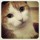Cacahuète, Future Star Du Web