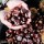 Viva Corsica : Pique-Nique Gourmand Dans Une Châtaigneraie