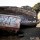 Le Cimetière de Bateaux de Quelmer