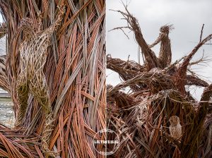 abbaye bon repos kreiz breizh 3