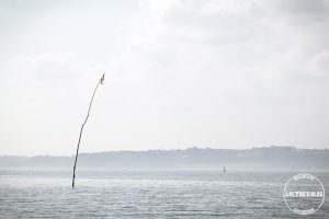 Chateau du taureau 14