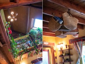 Coriandre Tremargat 5