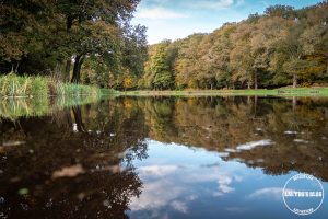 automne kreiz breizh nature site de la pitié 1