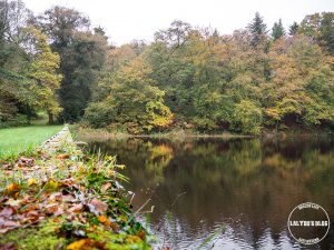 automne kreiz breizh nature bois beaucours 27