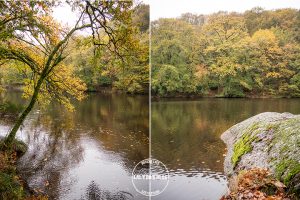 automne kreiz breizh nature bois beaucours 28