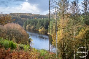 automne kreiz breizh nature lac kerne uhel 36