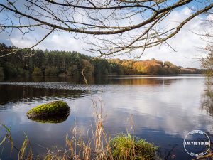 automne kreiz breizh nature lac kerne uhel 40