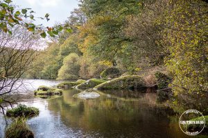 automne kreiz breizh nature lac kerne uhel 42