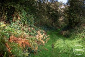 automne kreiz breizh nature lac kerne uhel 47