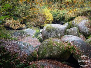 automne kreiz breizh nature toul goulic 21