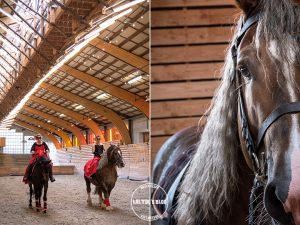 100 lieux qu il faut voir haras national lamballe 3