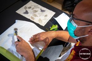 Tataki zome trevarez 1