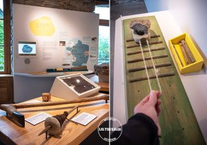 pays de redon mégalithes et landes 2