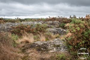 pays de redon mégalithes et landes 7