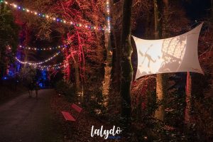 pinoch noel a trevarez 5