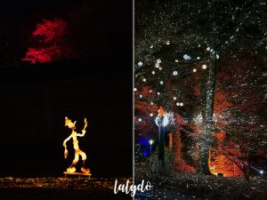 pinoch noel a trevarez 6