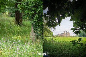 Chateau de kerjean lalydo 3