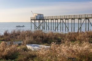 fouras carrelet lalydo