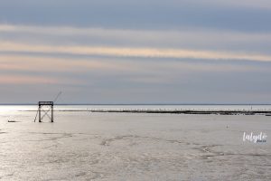 fouras estuaire lalydo