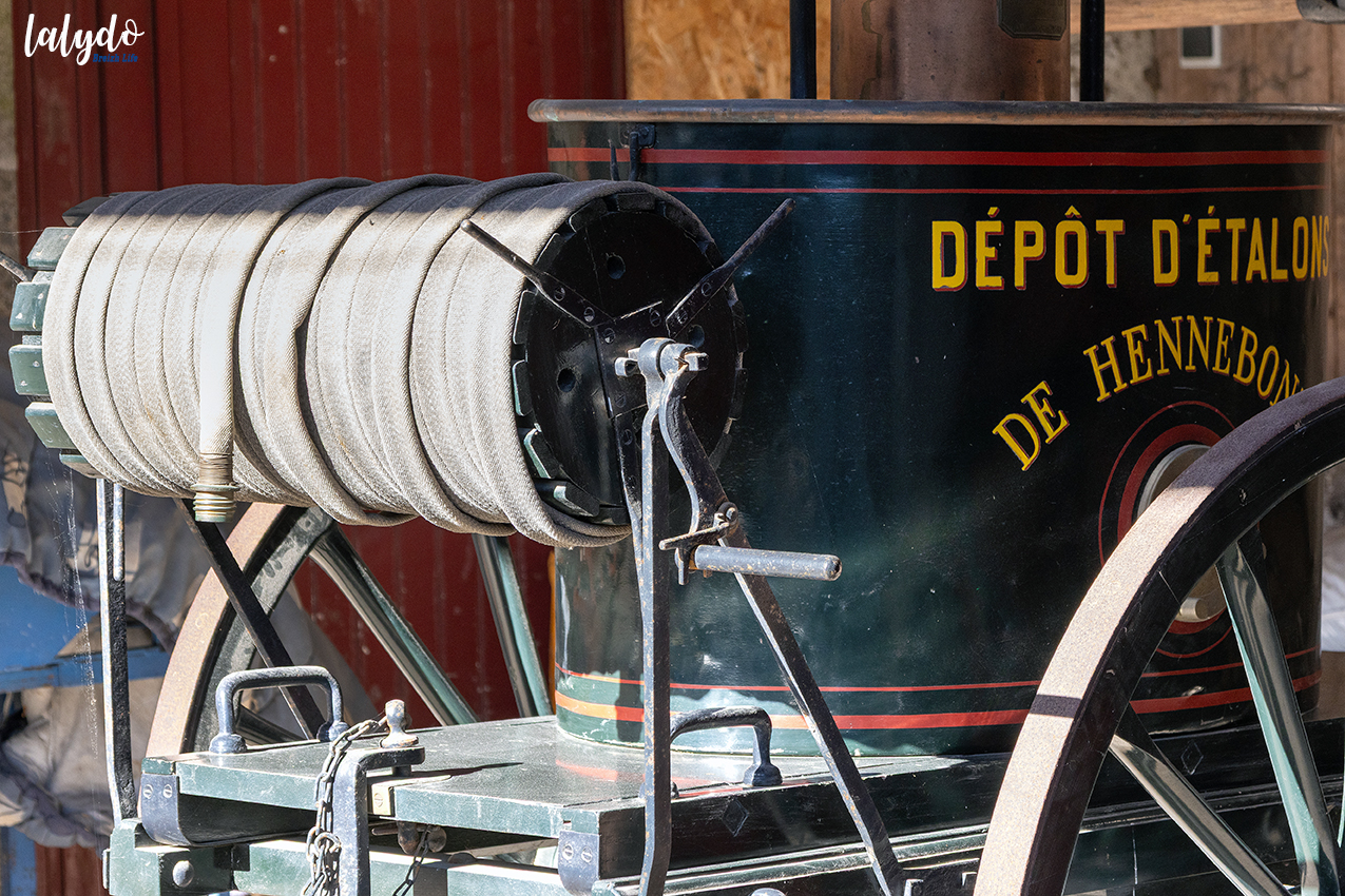 haras-hennebont-caleche-lalydo