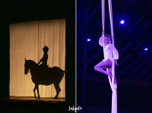 haras-hennebont-ecrin-spectacle-lalydo-1