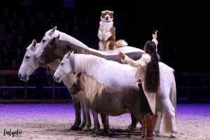 haras-hennebont-ecrin-spectacle-lalydo-2