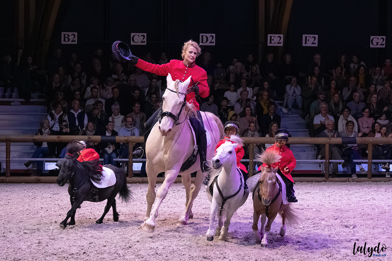 haras-hennebont-ecrin-spectacle-lalydo-3