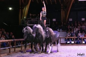 haras-hennebont-ecrin-spectacle-lalydo-5