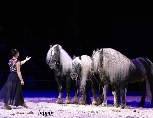 haras-hennebont-ecrin-spectacle-lalydo-6