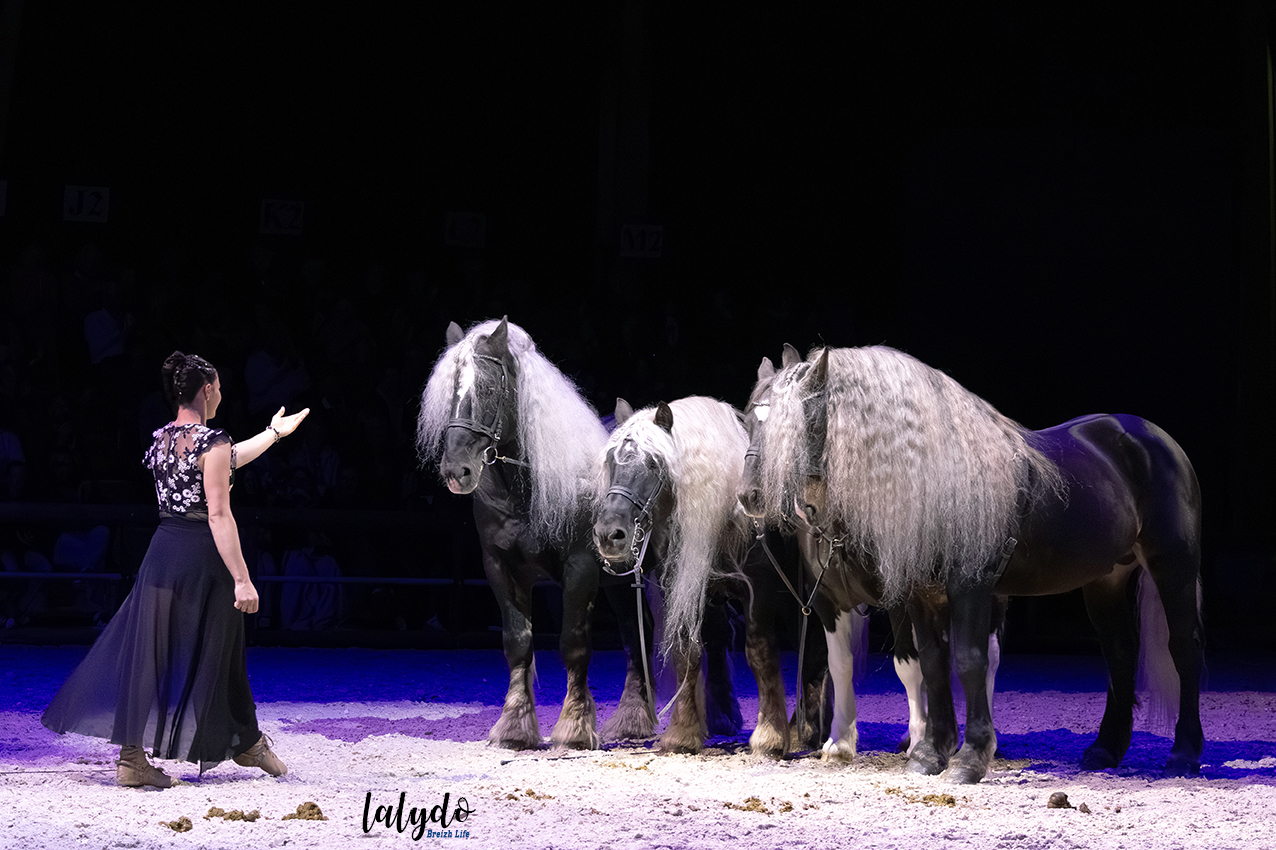 haras-hennebont-ecrin-spectacle-lalydo-6