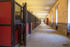 haras-hennebont-écuries-lalydo