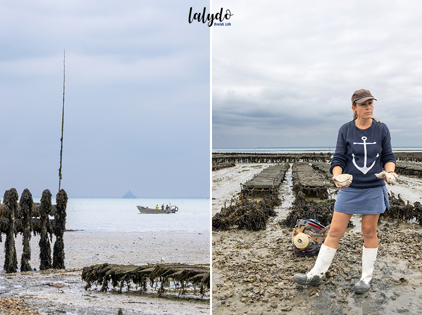 traversee bretonne cancale ostreika