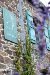 traversee bretonne fleurs de lin exterieur